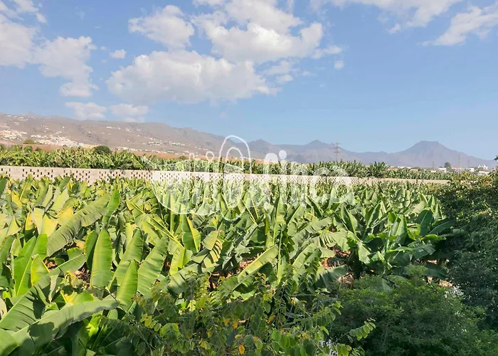 Bio With Pool Villa Playa Paraiso (Tenerife)