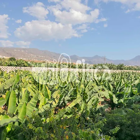 Bio With Pool Villa Playa Paraiso (Tenerife)